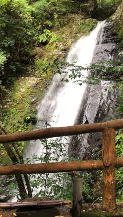 滝に癒されてきました～～～♪の記事動画