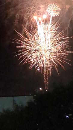 花火の記事動画