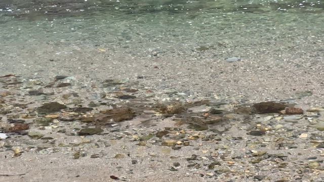 10月4日(土)の記事動画