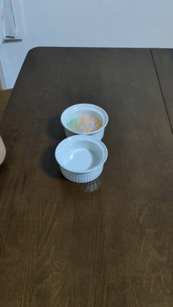 〜びっくりビーズ運び！〜の記事動画