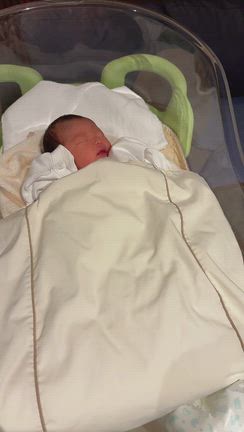 お祝い膳の記事動画