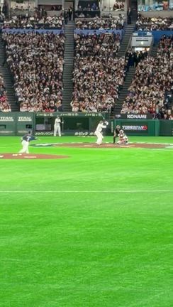 ＷＢＣ観戦旅行の記事動画