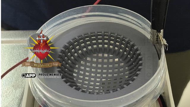 ダイスの記事動画