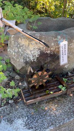 屋島の記事動画