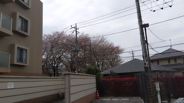 2025/04/10(木) 発券 BC メガダンス コロッケ God of Musicの記事動画