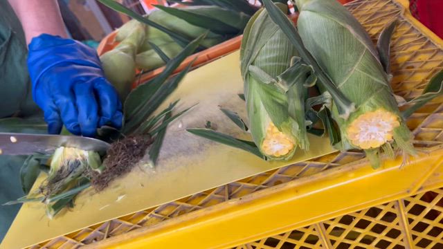 本日の特売の記事動画