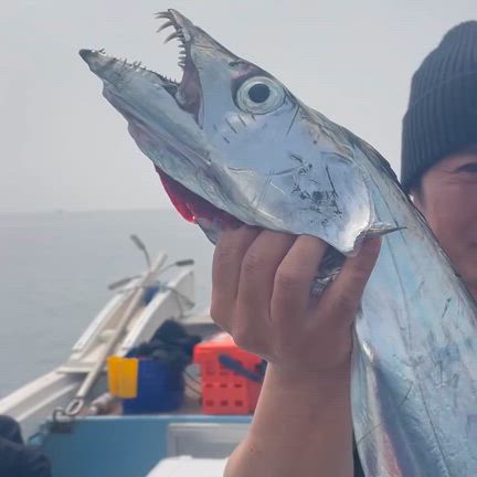 2026/03/31の記事動画