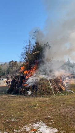 2月の動物病院のお仕事の予定です　2025の記事動画