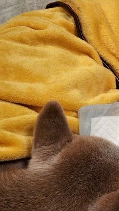 悔しくて涙が出るの記事動画