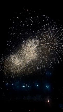 夏！の記事動画