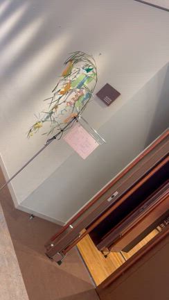 2024年生徒さん発表会の記事動画