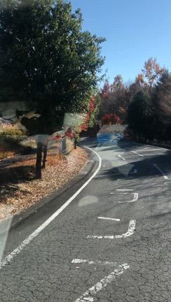 2025/12/04の記事動画