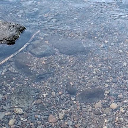 ちょっと旅行に行って来ました。の記事動画