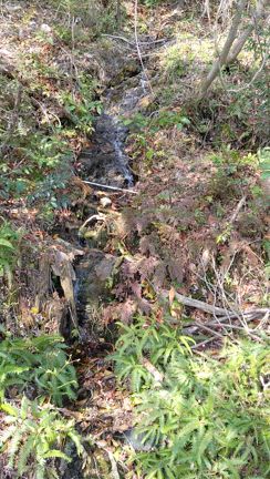 またしてもコロナ感染の記事動画