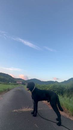 夢でしか行かない場所の記事動画