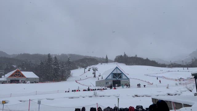 season inの記事動画