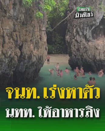 ピピ島のサルや魚に餌を与えてはいけません。の記事動画