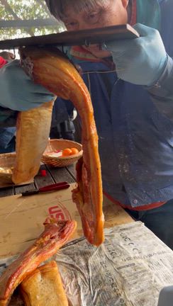 極ウマベーコン作りに参加してみませんか⁈\(//∇//)\の記事動画