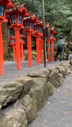 大晦日と恵方参り～なんでも願いを叶えてくれる神様は？～の記事動画