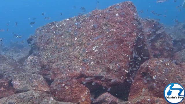 2025/8/28の記事動画