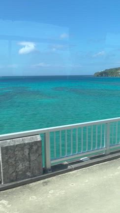 沖縄旅行②～沖縄美ら海水族館の記事動画