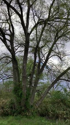 歌の匠♬の記事動画