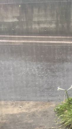 送り盆を無事に終えたら。。。次は台風が来る～ｱﾀヽ(д｀ヽ彡ノ´д)ノﾌﾀの記事動画