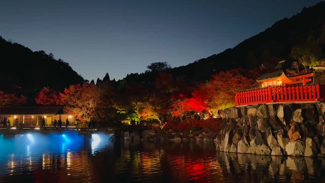 勝ダルマの記事動画