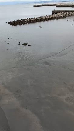 江の島トンボロ初体験❗️の記事動画