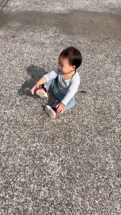 ピースの記事動画