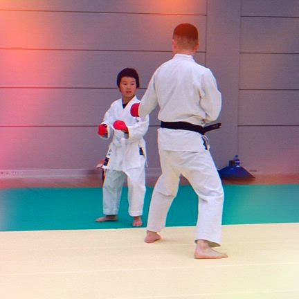 熱気溢れる練習風景⭐️中野区空手道教室の記事動画