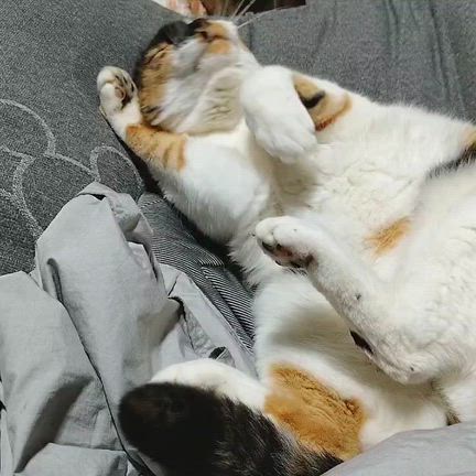 2025.10.22(水)　寒っ‼️冬かっ❗️の記事動画