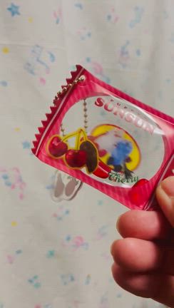 スンスンの記事動画