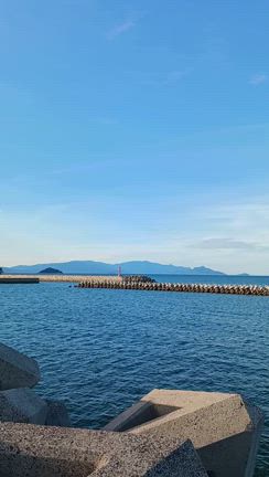 ありがとうございました！７月　高松市「保護ねこ譲渡会」セルフレポート♪の記事動画