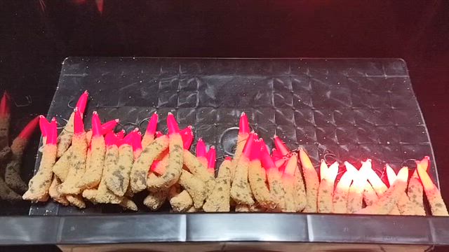 キープキャスト 2026/3/14〜3/15の記事動画