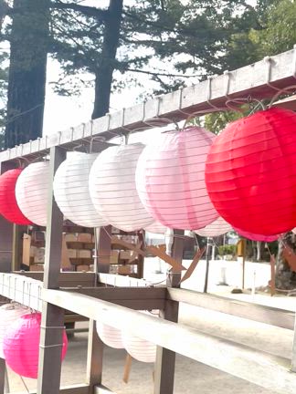 弥生のお朔日参り（現人神社）の記事動画