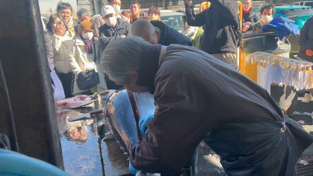 三連休初日！の記事動画