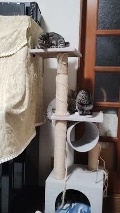 気持ちの整理をするにはの記事動画