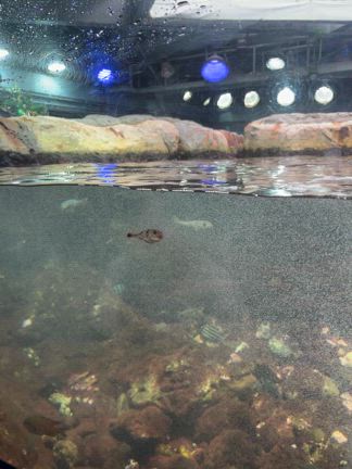 人類皆愛してるの記事動画