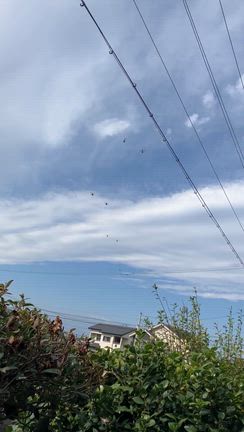 航空祭の記事動画