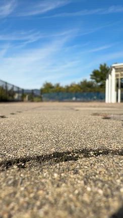 天気が良すぎて、フラフラと…の記事動画