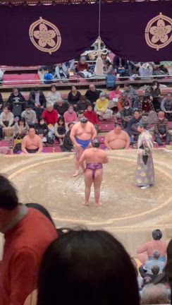 日本大相撲トーナメントと三田製麺所の記事動画