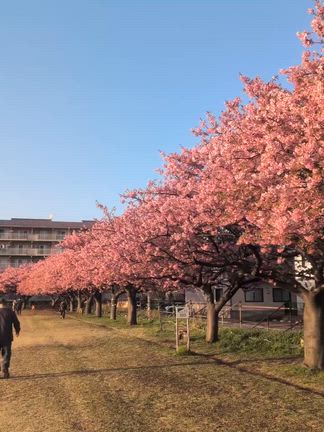 2026/03/05の記事動画