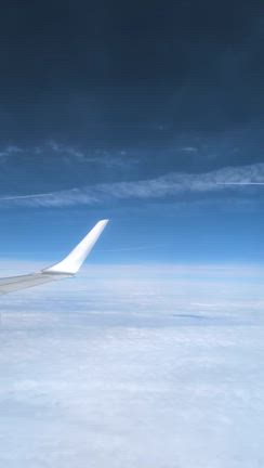 ２０２５年１２月の記事動画