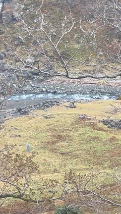 やってしまった…の記事動画