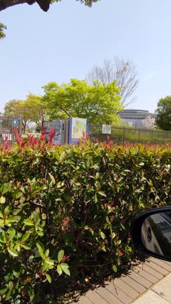 有明➰都立東京臨海広域防災公園＊の記事動画