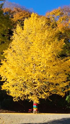 07年11月22日①　俺の相棒の記事動画