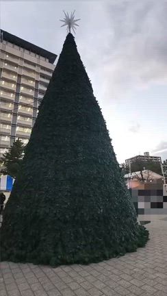 海の街のクリスマスマーケットです！サプライズ花火もあります！@香川県高松市の記事動画