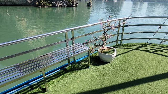 ベトナムへ行ってきた！その２ (初日～3日目)の記事動画
