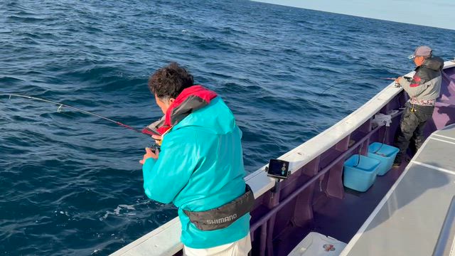 午後マダイ釣りは入れ食いモード♪の記事動画